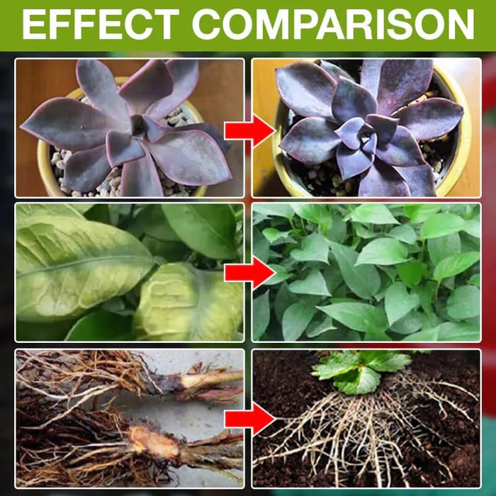 💥This Week Promotion 49% OFF💥Plant Growth Enhancer Supplement