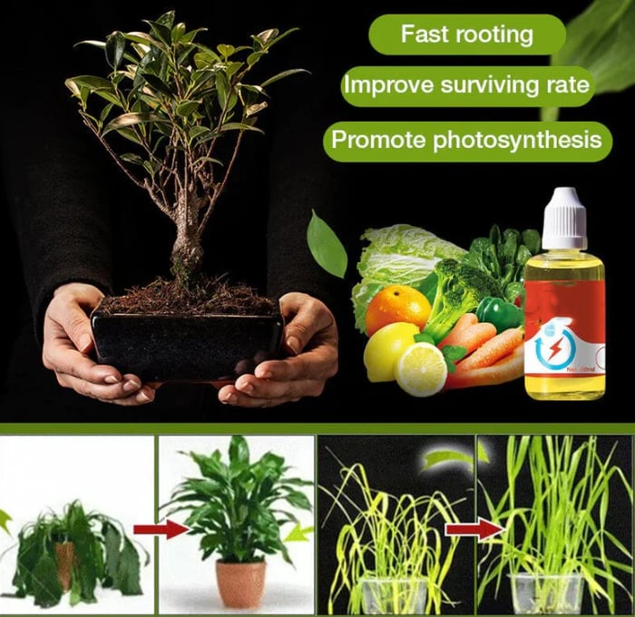 💥This Week Promotion 49% OFF💥Plant Growth Enhancer Supplement