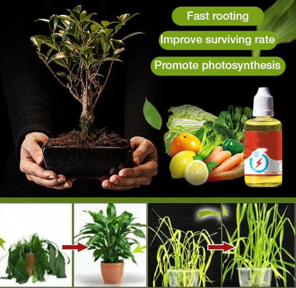 💥This Week Promotion 49% OFF💥Plant Growth Enhancer Supplement