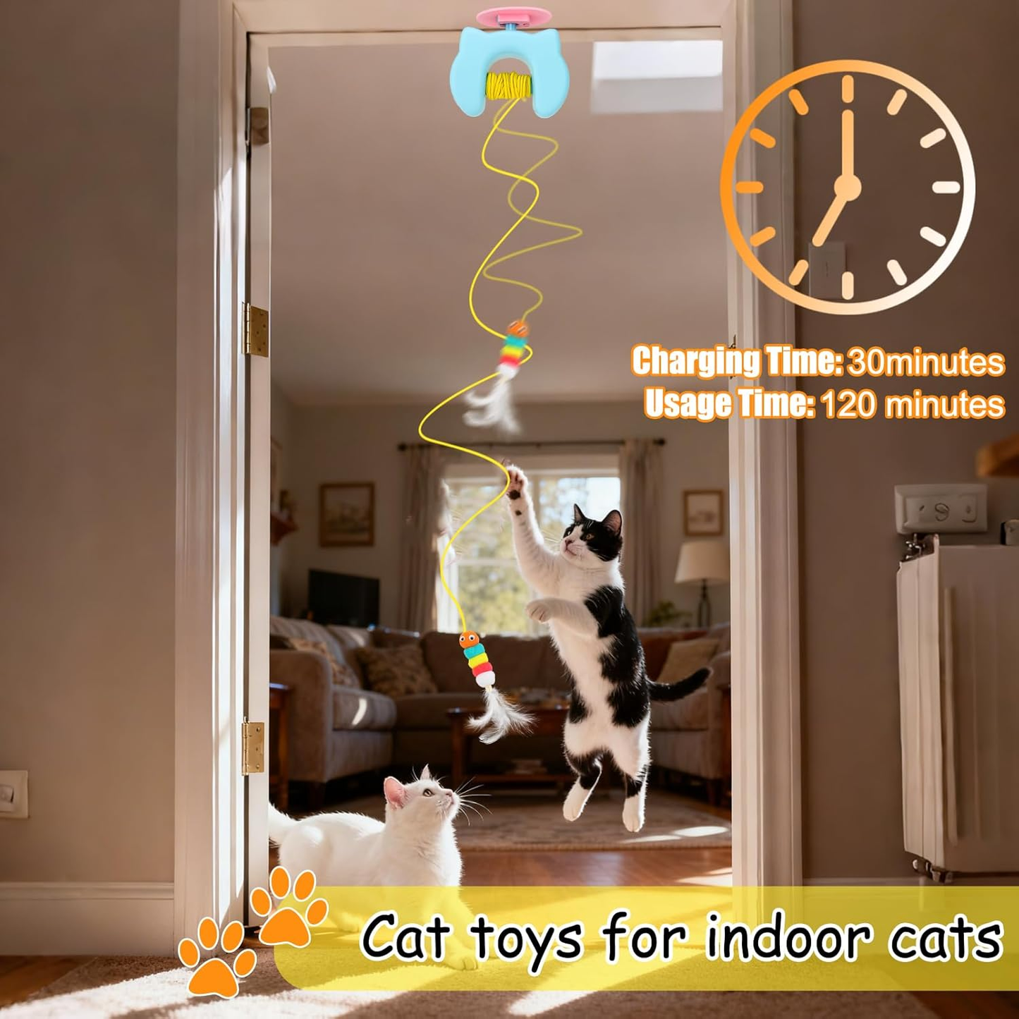 Interactive Hanging Cat Toy