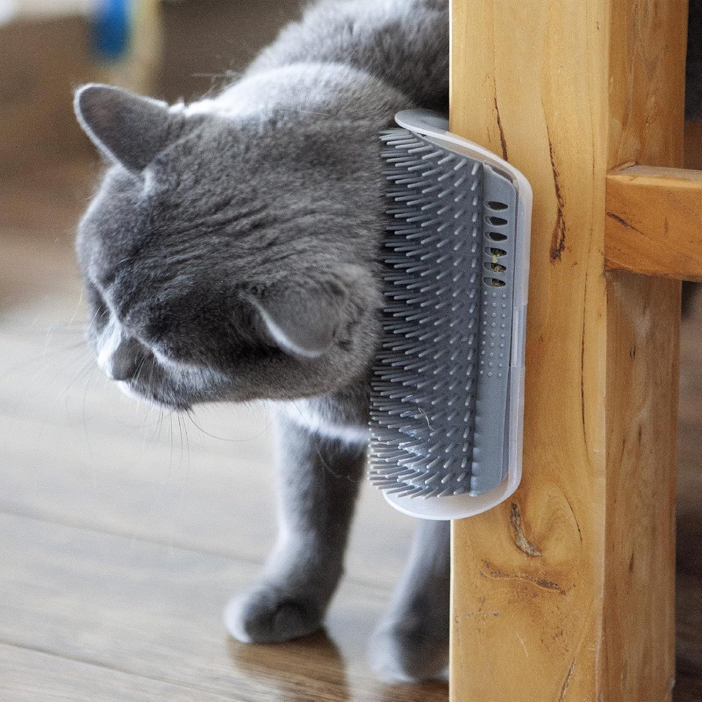 2 Pack Self Grooming Cat Brush - Wall Corner Scratcher with Massage Combs for Long and Short Fur Cats, Kittens