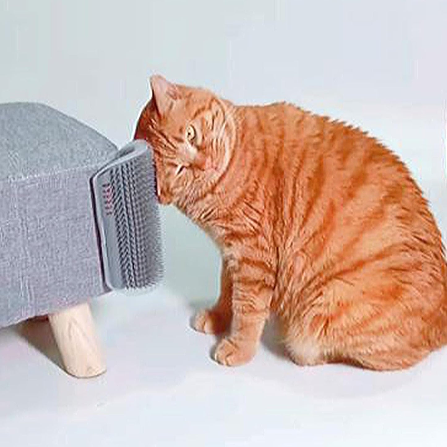 2 Pack Self Grooming Cat Brush - Wall Corner Scratcher with Massage Combs for Long and Short Fur Cats, Kittens
