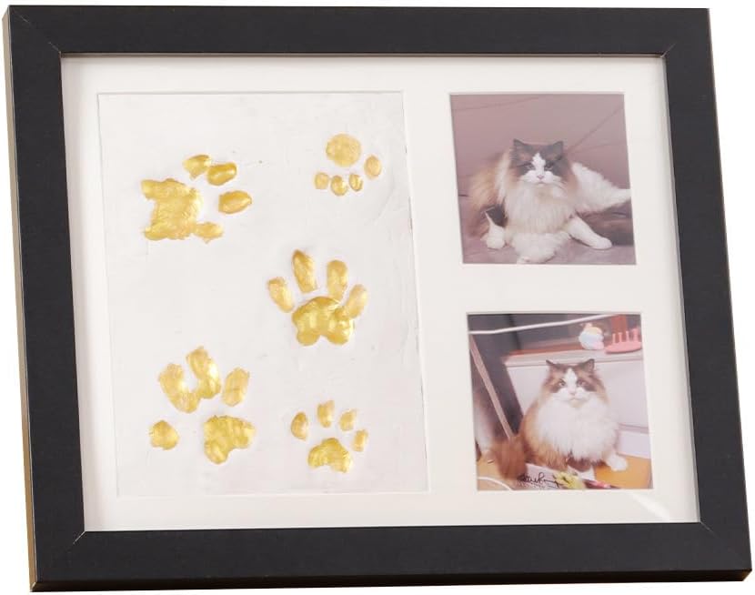 Pet Paw Print Clay Keepsake for Cats Dogs | Includes 8 Color Paints for Pet Memory Preservation