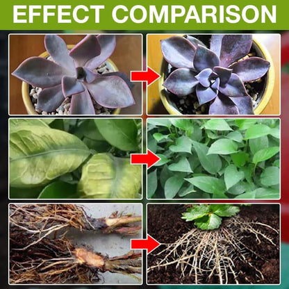 💥This Week Promotion 49% OFF💥Plant Growth Enhancer Supplement