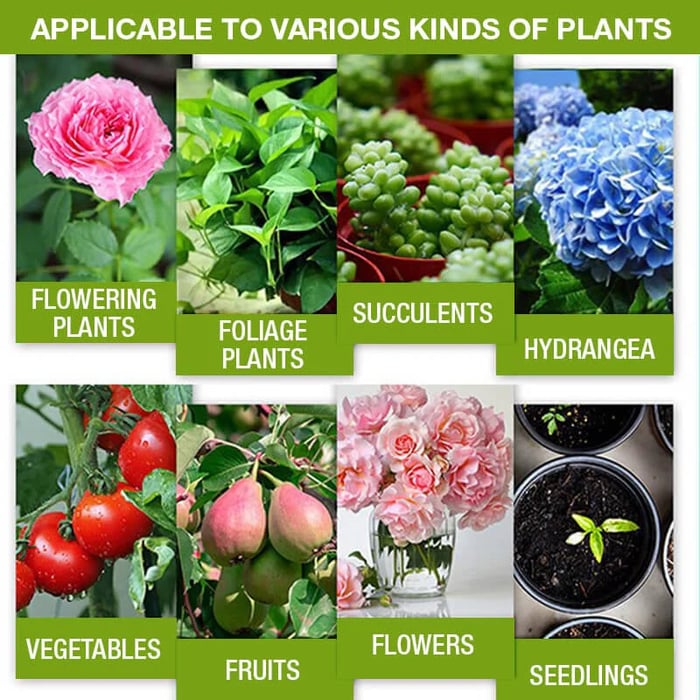 💥This Week Promotion 49% OFF💥Plant Growth Enhancer Supplement