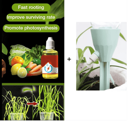 💥This Week Promotion 49% OFF💥Plant Growth Enhancer Supplement