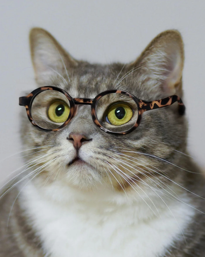 Retro Round-Frame Glasses for Dogs and Cats