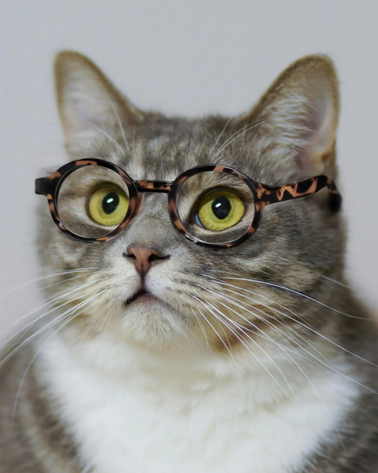 Retro Round-Frame Glasses for Dogs and Cats
