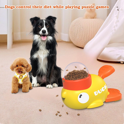 Interactive pet treat dispenser toy, educational slow-feeder