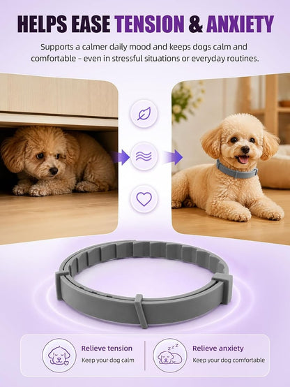 Calming Collar for Dogs 4 Pack, Adjustable Dog Calming Collar for Barking, 60-Day Waterproof Pheromone Collars for Dog for Separation Anxiety, Bad Behavior & Stress Support
